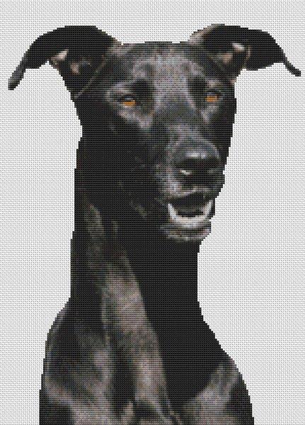 (image for) Black Greyhound